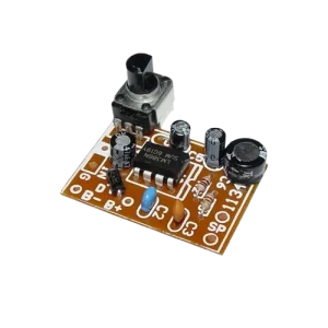 کیت آمپلی فایر مونو